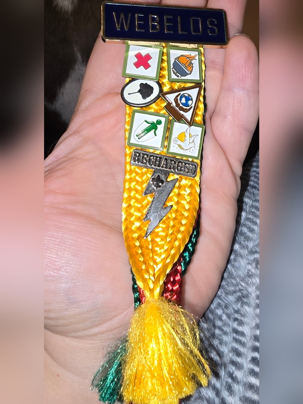 Vintage Cub Scouts WEBELOS Pins Ribbon Badge Lot –Activity Pins & Arrow of Light